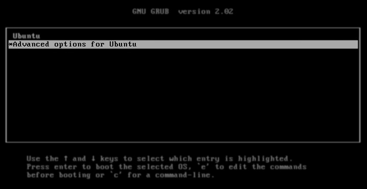 screenshot showing Advanced option in GRUB