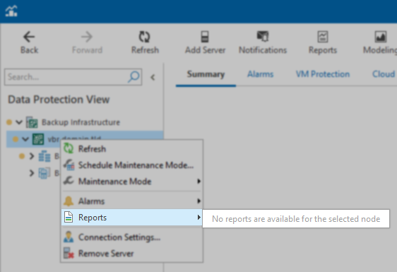 Data Protection View Reports empty