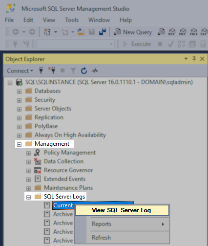 View Logs
