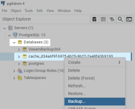cache db backup