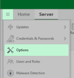 The Veeam Backup & Replication Console is shown with the maun menu active and the "Options" menu item is highlighted.