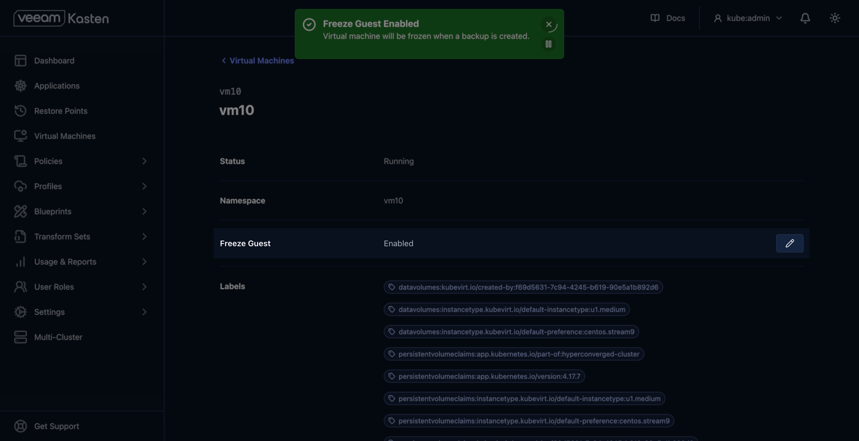 Screenshot showing the Freeze Guest option enabled within the settings for a VM.