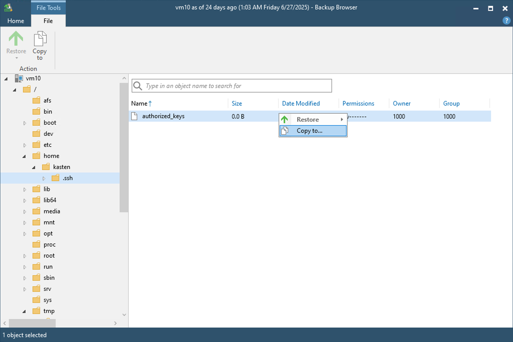 Screenshot of the restore browser with the context menu from right-clicking on a file to restore it.