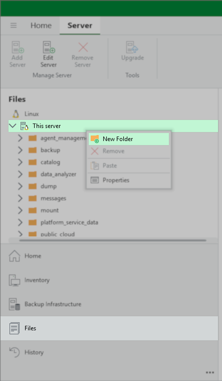 In the Veeam Backup & Replication interface the "Files" section is displayed. The "This server" node is selected in the Linux file tree. A context menu is open with the "New Folder" option highlighted, allowing the user to create a new folder on the server.