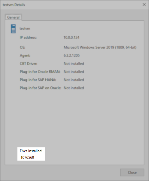 "Details" window showing general information for a machine, including IP address, OS, agent version, plug-in status, and a note at the bottom indicating "Fixes installed: 1076569".